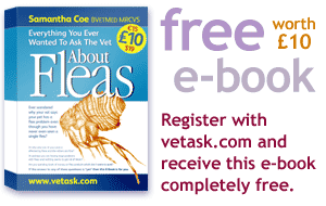 fleas vetask ebook mini-ad