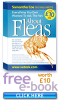 fleas vetask ebook mini-ad